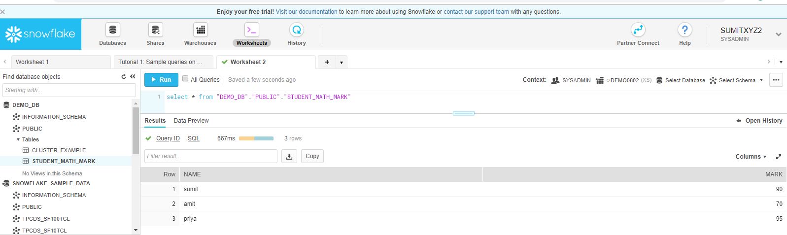 snowflake view after inserting csv file data